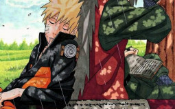 Classement animé