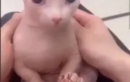 thing