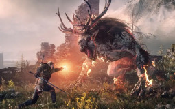character witcher 3