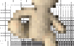 Bear alpha/ Bear* Fake skins