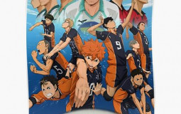 haikyuu  kins