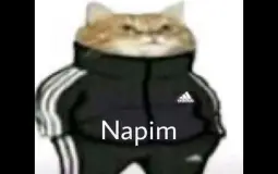 NAPİM