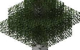 hottest minecraft trees