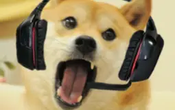 Dogerex server