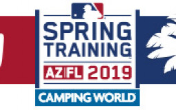2019 Spring Training Hats