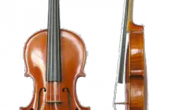 Types of Violins