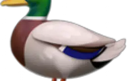 sdewewe