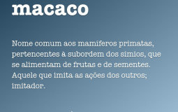 professores do proc