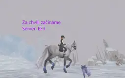 Star stable -  my horses