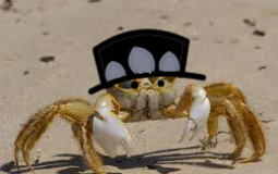 Can's can 'o Crab