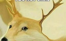 TH