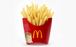 Fast food fries