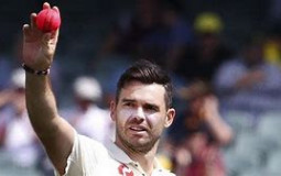 Cricket players