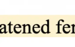 Best Usernames Meridian