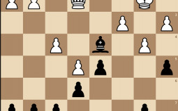 Chess Openings