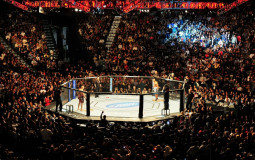 MMA
