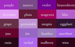 Purple Tier List