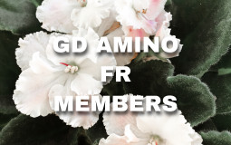 GD Amino FR Members