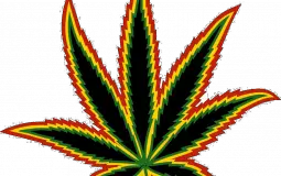 Drug Tier List