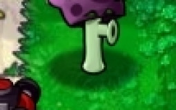 PVZ plants