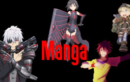 Mes mangas vue