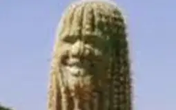 ShaqPaq Members