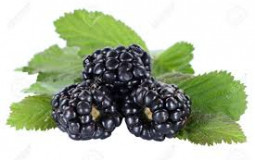 Fruit Tier List