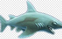 Hungry shark evulation