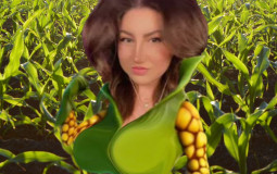Corn