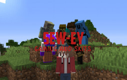 Sewey CLUTCHS