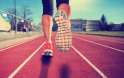 Best sports