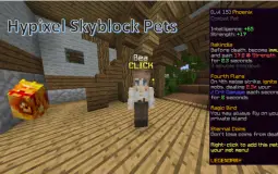 Hypixel Skyblock