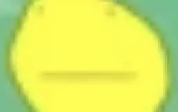 Bfb characters