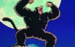 DBZ Transformations