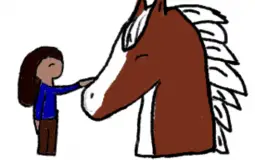 My horses rated