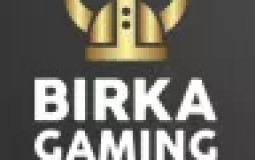 Birka Gaming CS level skiIls