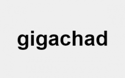 gay