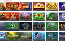 Online Casino