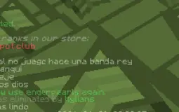 chinchus