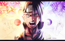 Liste de niveaux Anime