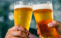 Beer Immersion 2023