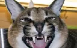 sjkdhbayoiuodgasydsa