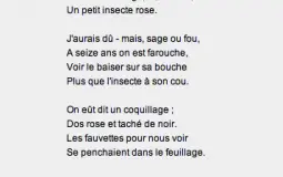 Nombre de syllabes