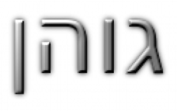 גוהן
