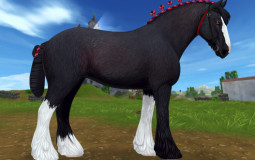 Star stable horses