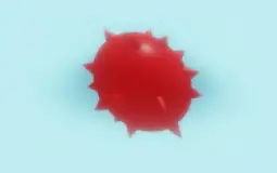 woblox