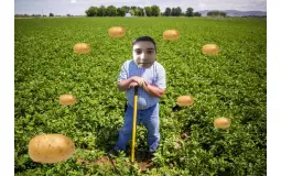 POV: Pierdem un meci