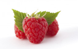 Berries