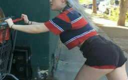 Tier