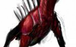 Scp secret lab parabellum scps